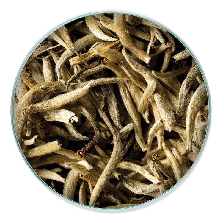 SILVER NEEDLE WHITE TEA