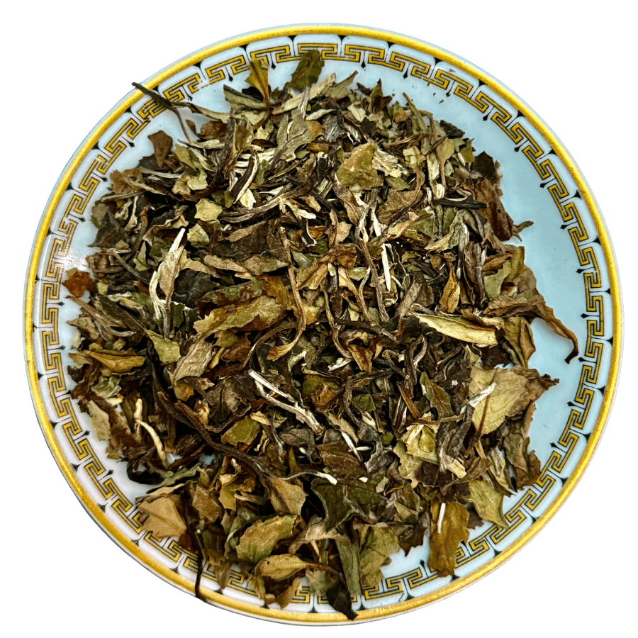 Dry tea leaves on a decorative ceramic plate with a white background