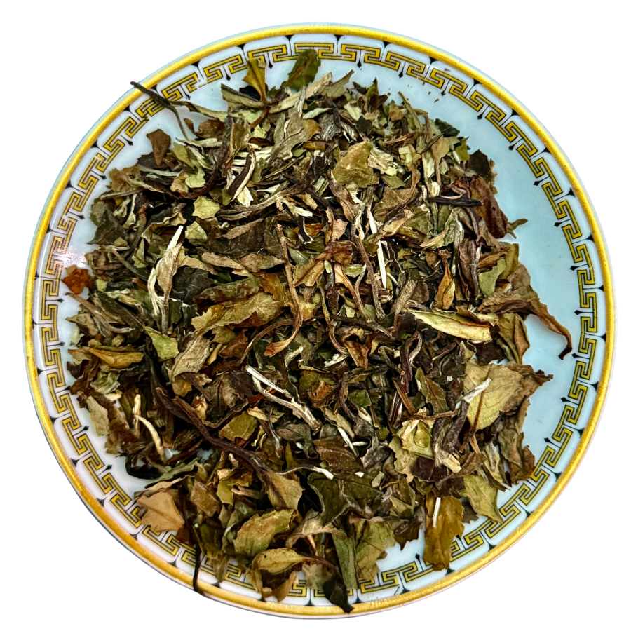 Dry tea leaves on a decorative ceramic plate with a white background
