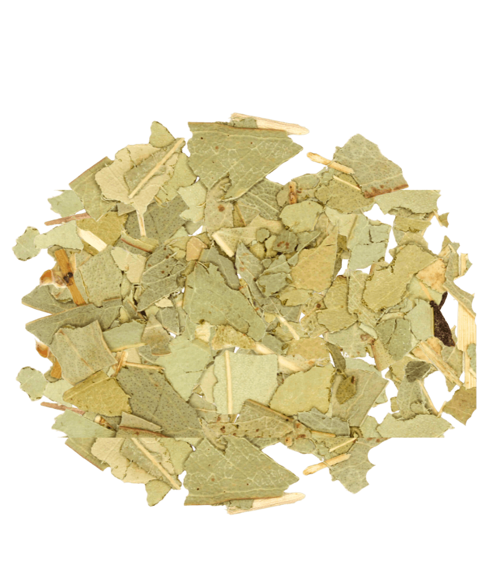 Dry herb leaves on a white background