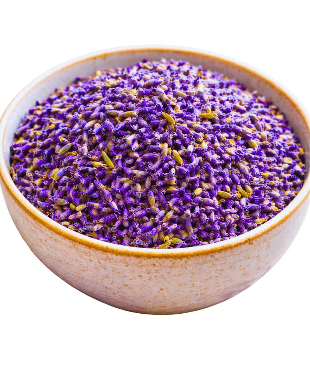 Lavender Flower (Caffeine-Free Herbal)