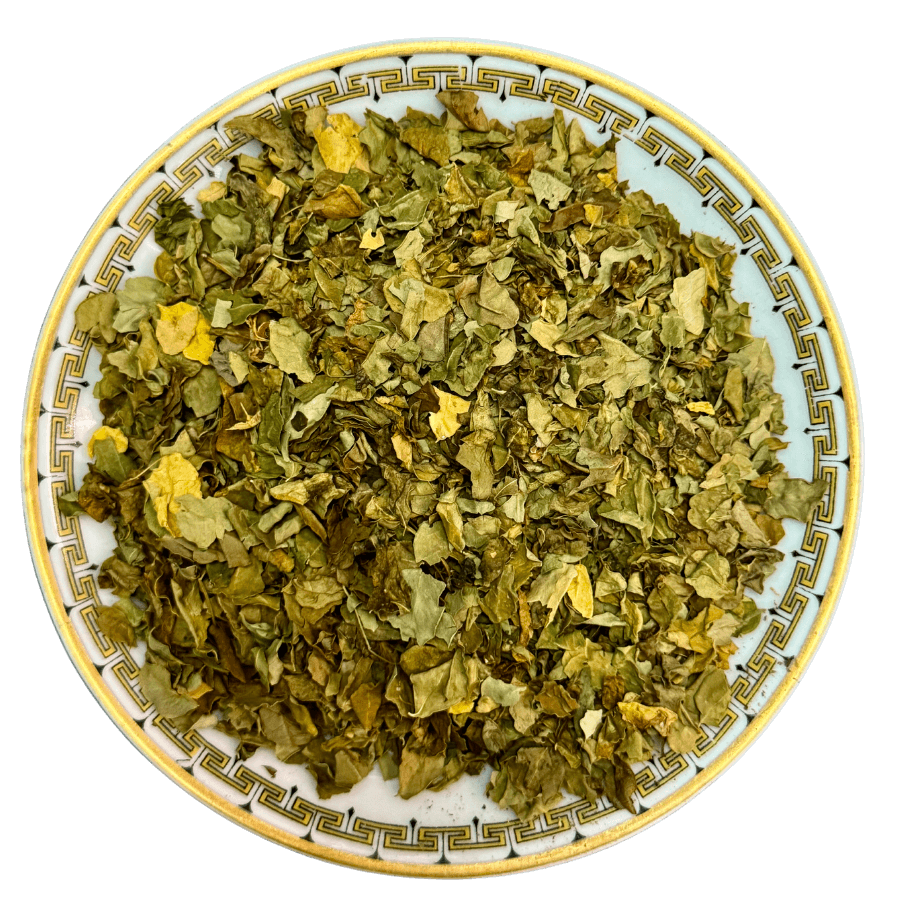 Dry green leaves on a decorative ceramic plate with a white background